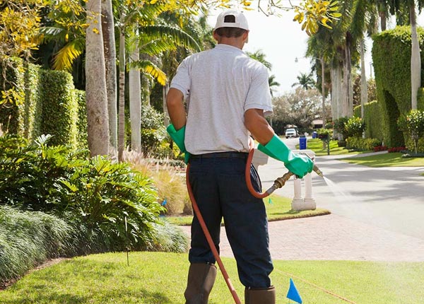 About Hoffman Estates IL Pest Control